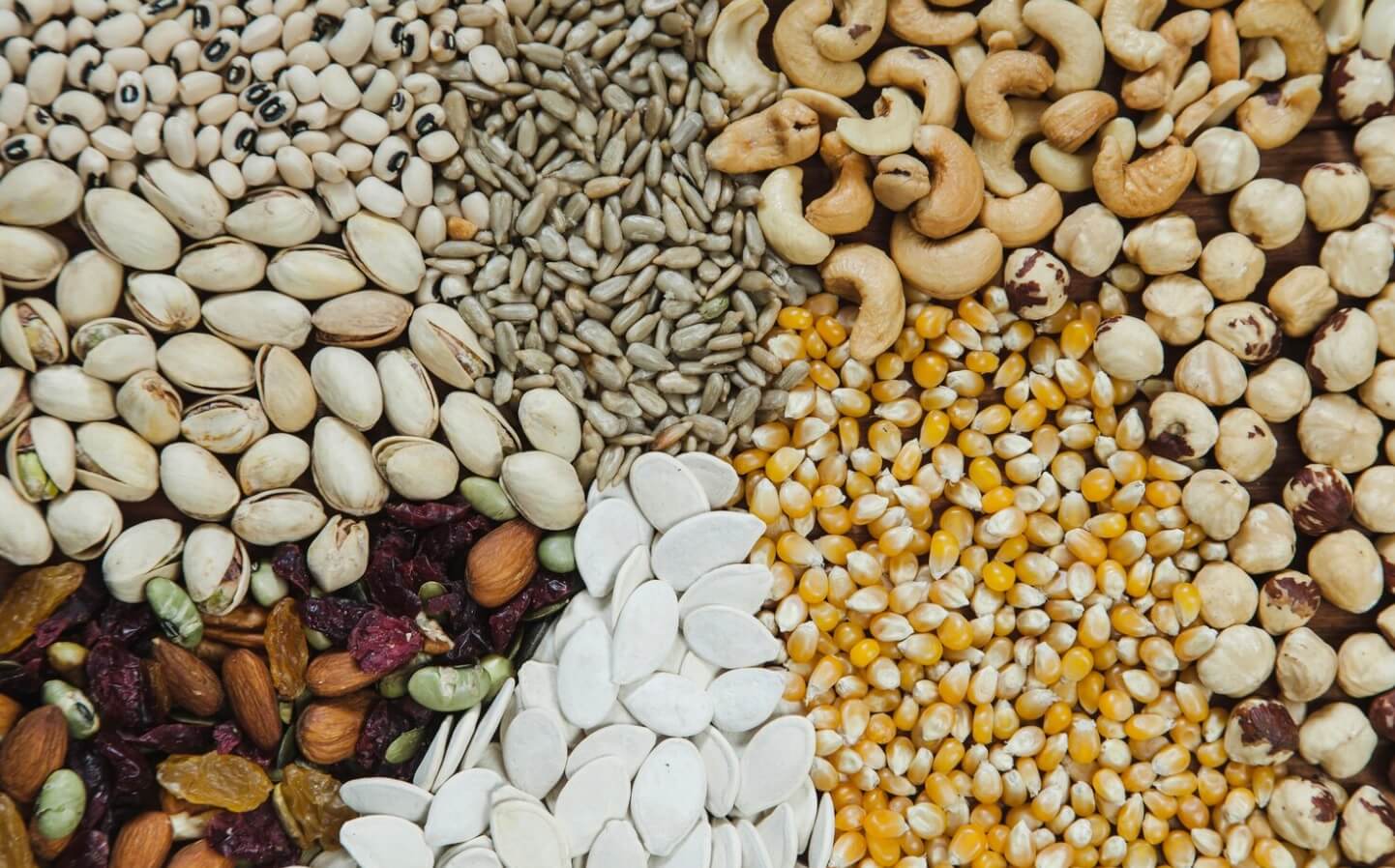 Alseed – hurtownia nasion holenderskich